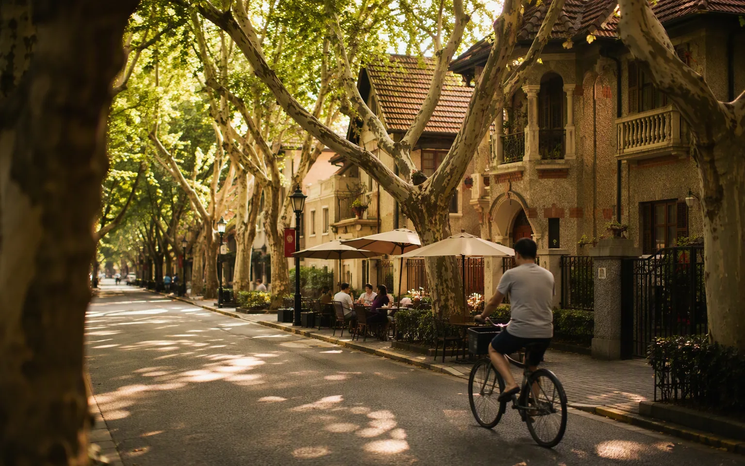 A tree-lined street in Shanghai's French Concession with cafes and heritage villas